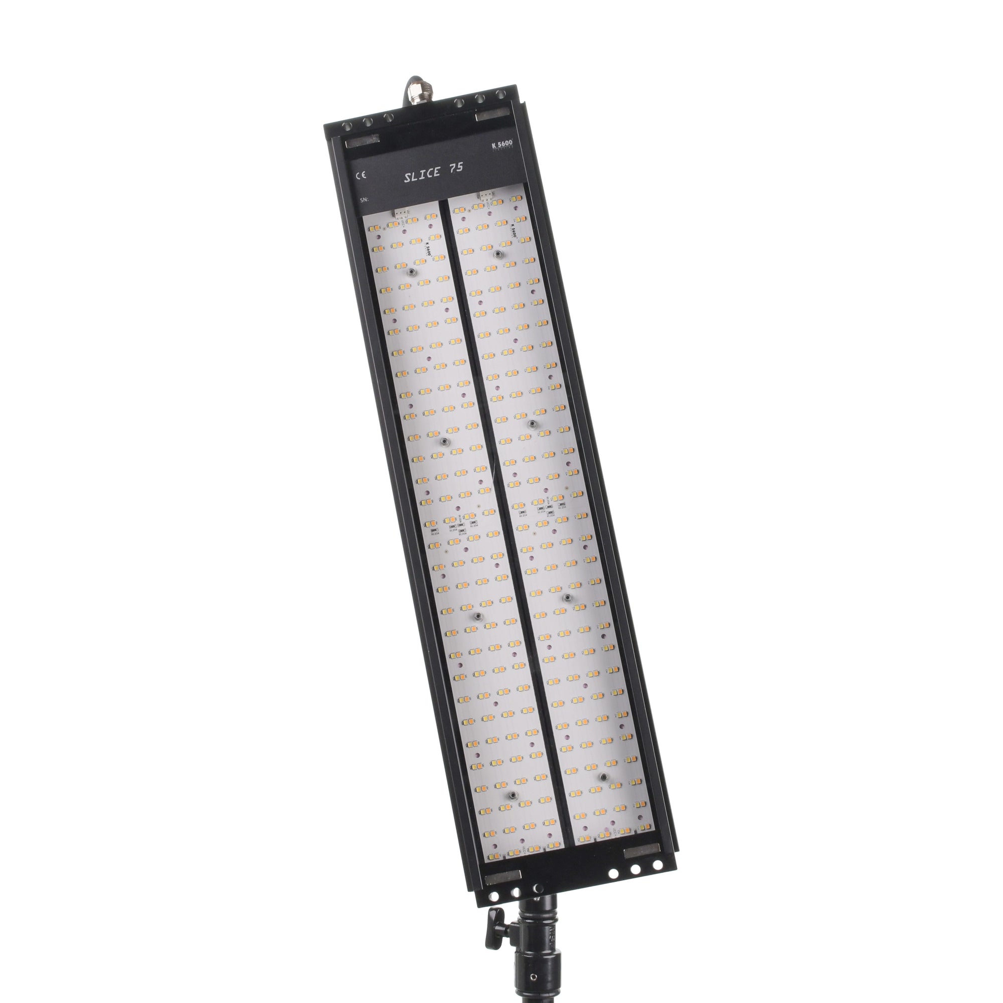 Slice 75 - Head Only