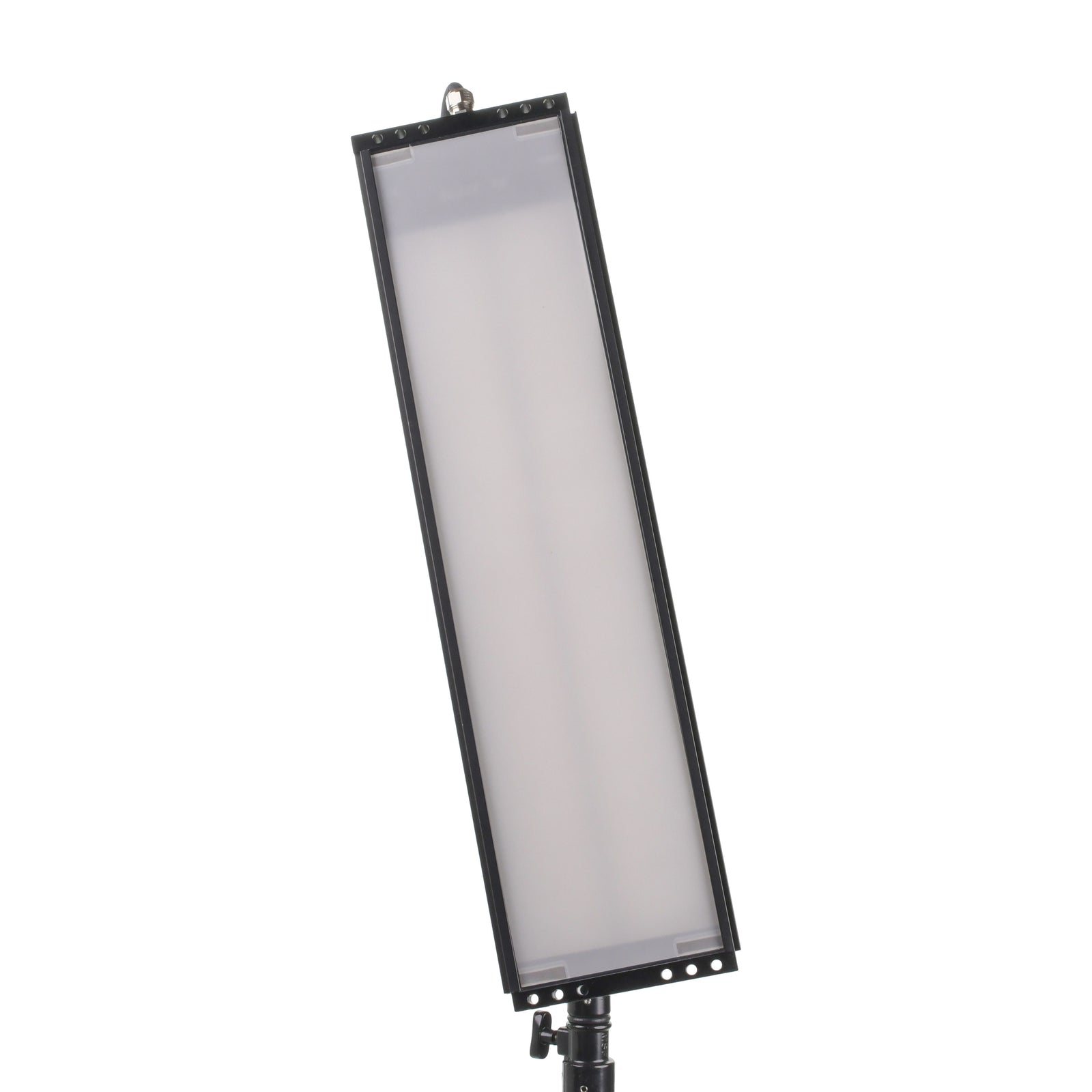 Slice 75 - Head Only